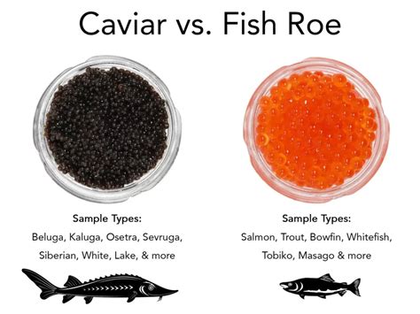 fish eggs|Roe vs. Caviar: How to Tell the Difference Between Fish Eggs.